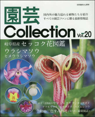 Collection  20