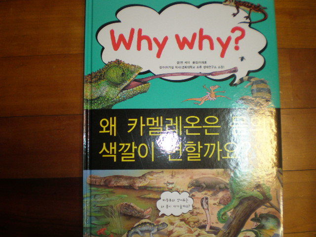 why why? 왜 카멜레온은 몸의 색깔이 변할까요?