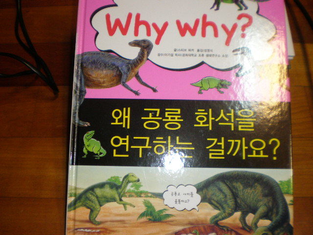 why  why? 왜 공룡 화석을 연구하는걸까?
