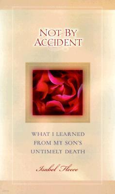 Not by Accident: What I Learned from My Son's Untimely Death