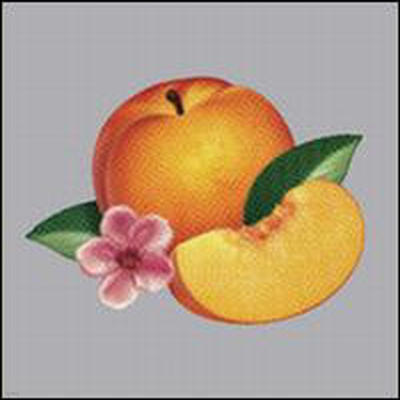 Phoenix — Bankrupt! 앨범 커버