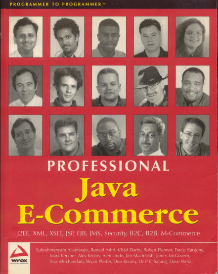 [] PROFESSIONAL Java E-Commerce