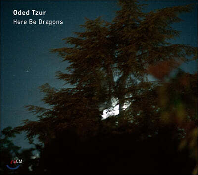 Oded Tzur (오데드 추르) - Here be Dragons