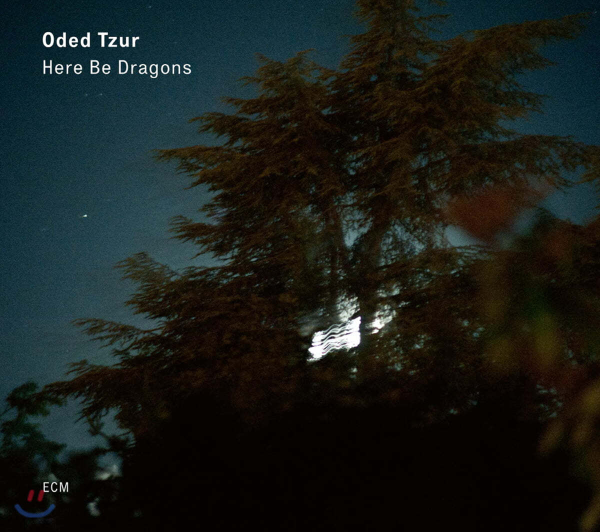 Oded Tzur (오데드 추르) - Here be Dragons