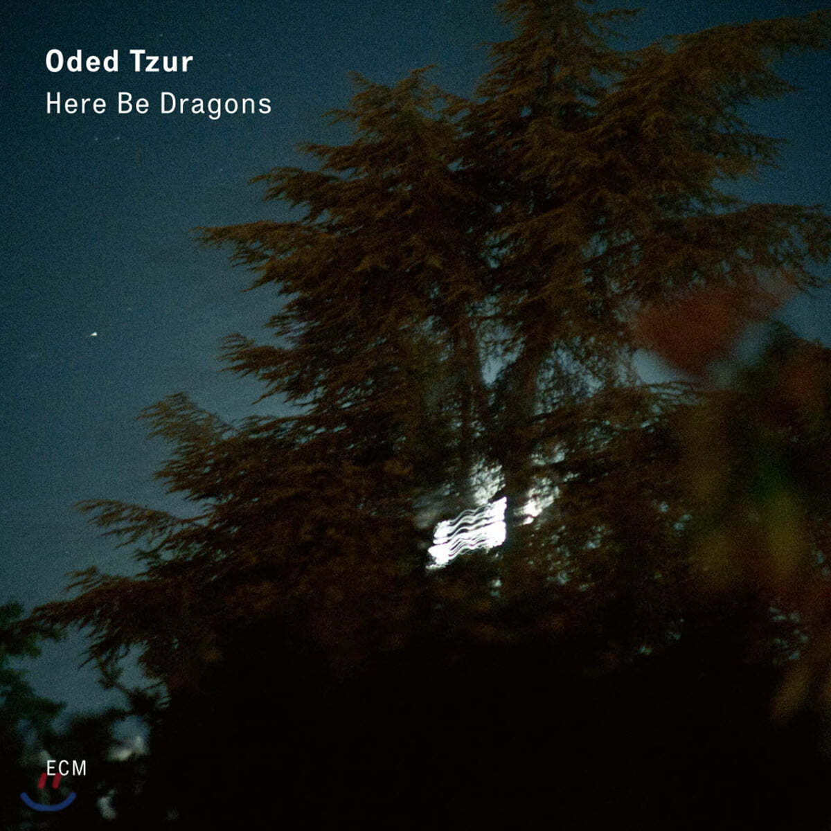 Oded Tzur (오데드 추르) - Here be Dragons [LP]