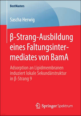 -Strang-Ausbildung Eines Faltungsintermediates Von Bama: Adsorption an Lipidmembranen Induziert Lokale Sekundarstruktur in -Strang 9