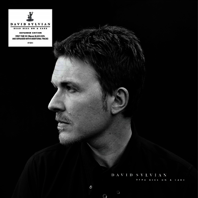 David Sylvian — Dead Bees On A Cake (Extended Edition) 앨범 커버