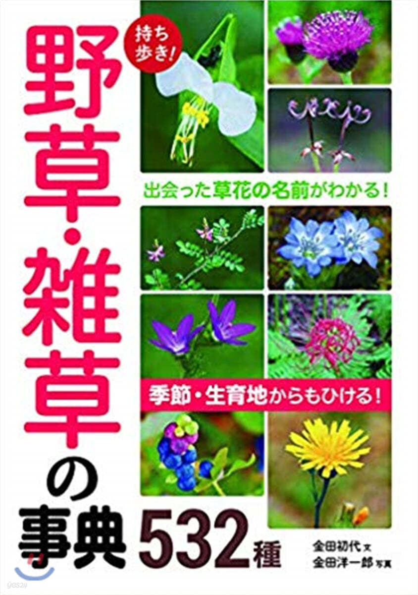 持ち步き!野草.雜草の事典532種