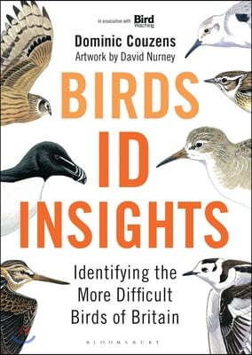 Birds: ID Insights