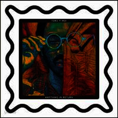 Toro Y Moi - Anything In Return (Download Code)(LP)