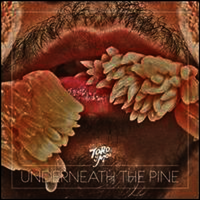 Toro Y Moi — Underneath The Pine 앨범 커버