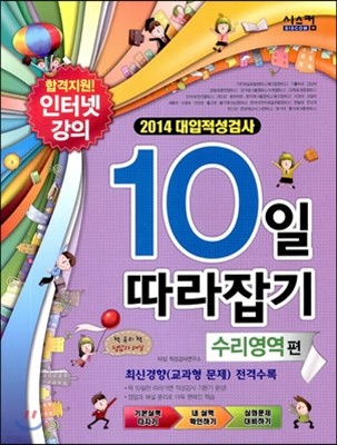 대입적성검사 10일 따라잡기 수리영역편 (2013년)