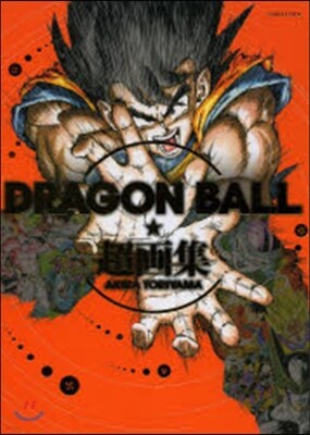 ドラゴンボ-ル 超畵集