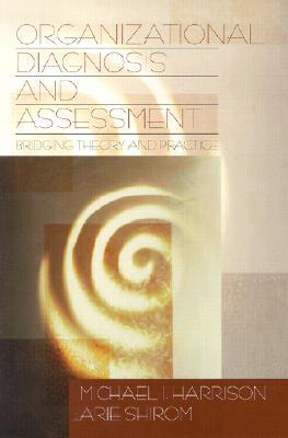 Organizational Diagnosis & Assessment: Bridging Theory and Practice