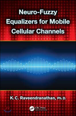 Neuro-Fuzzy Equalizers for Mobile Cellular Channels