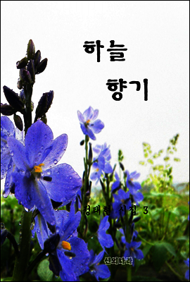 하늘 향기