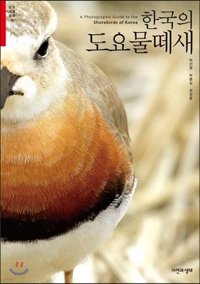 한국의 도요물떼새
