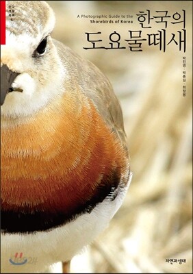 한국의 도요물떼새