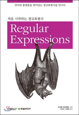 처음 시작하는 정규표현식 Regular Expressions