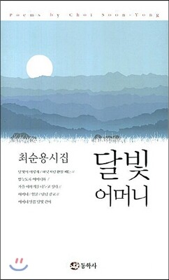 동학사 달빛 어머니 최순용 시집