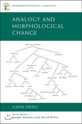 Analogy and Morphological Change