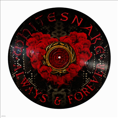 Whitesnake — Always & Forever 앨범 커버