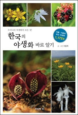 한국의 야생화 바로 알기