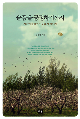 슬픔을 긍정하기까지 : 시인이 들려주는 우리 시 이야기