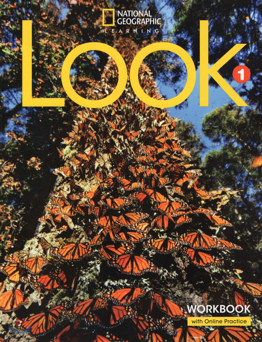 LOOK 1: Workbook