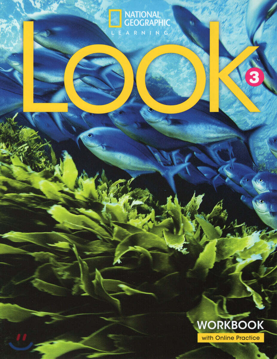 Look 3: Workbook with the Spark Platform (Ame)