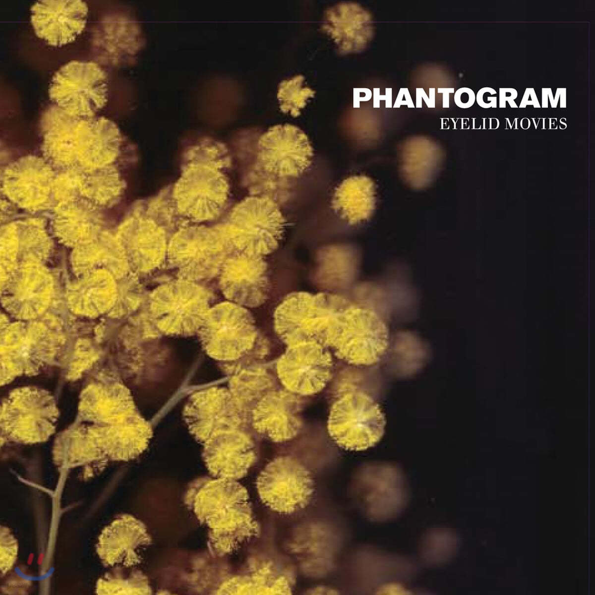 Phantogram (팬토그램) - 1집 Eyelid Movies [LP]
