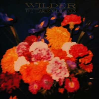 Teardrop Explodes — Wilder 앨범 커버