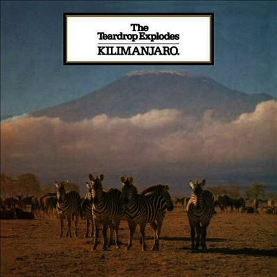 Teardrop Explodes — Kilimanjaro 앨범 커버