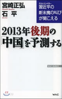 2013年後期の「中國」を予測する