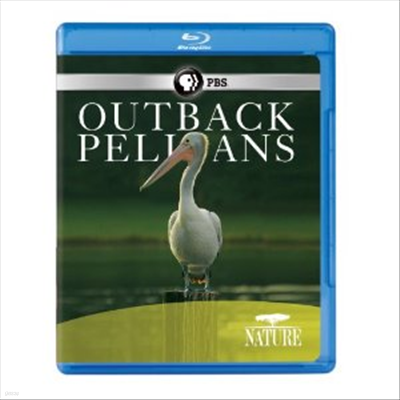 Nature: Outback Pelicans (ƿ 縮) (ѱ۹ڸ)(Blu-ray) (2011)