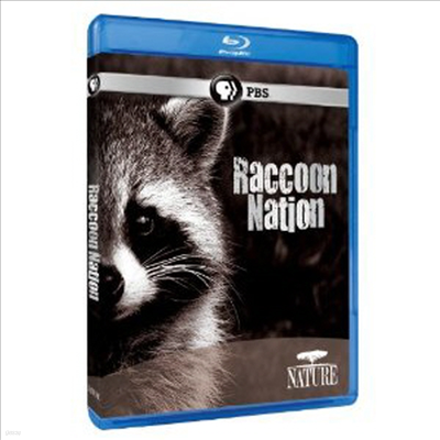 Nature: Raccoon Nation ( ̼) (ѱ۹ڸ)(Blu-ray) (2012)