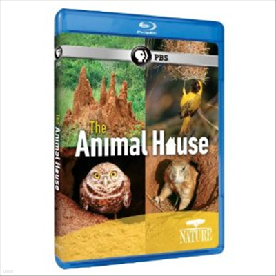 Nature: The Animal House ( ִϸ Ͽ콺) (ѱ۹ڸ)(Blu-ray) (2012)
