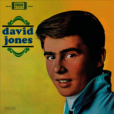 Davy Jones / Monkees - David Jones (Gatefold)(180G)(LP)
