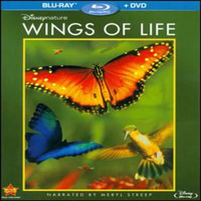 Disneynature: Wings of Life ( ) (ѱ۹ڸ)(Blu-ray+DVD)