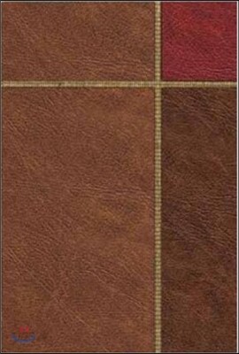 Message-MS-Large Print Numbered: The Bible in Contemporary Language