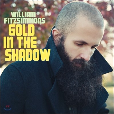 William Fitzsimmons (윌리엄 피츠시몬스) - Gold In The Shadow 