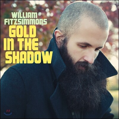 William Fitzsimmons (윌리엄 피츠시몬스) - Gold In The Shadow