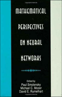 Mathematical Perspectives on Neural Networks