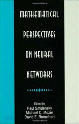 Mathematical Perspectives on Neural Networks