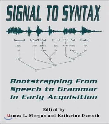 Signal to Syntax