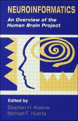 Neuroinformatics: An Overview of the Human Brain Project
