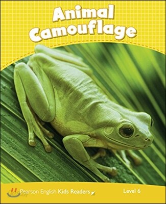 Animal Camouflage CLIL