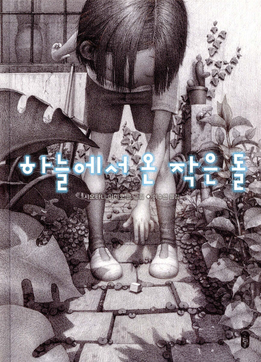 하늘에서 온 작은 돌