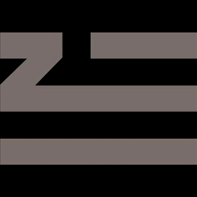 ZHU — Came For The Low 앨범 커버