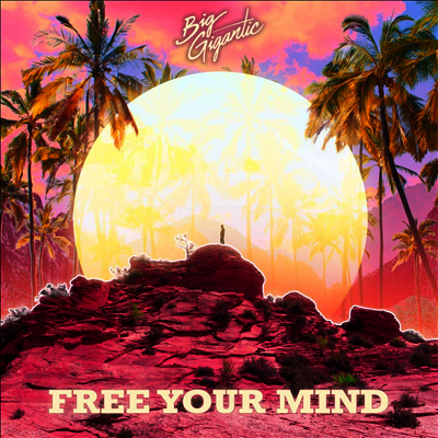 Big Gigantic — Free Your Mind (Digital Download Card) 앨범 커버